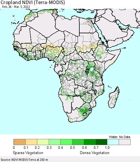 Africa Cropland NDVI (Terra-MODIS) Thematic Map For 2/26/2022 - 3/5/2022