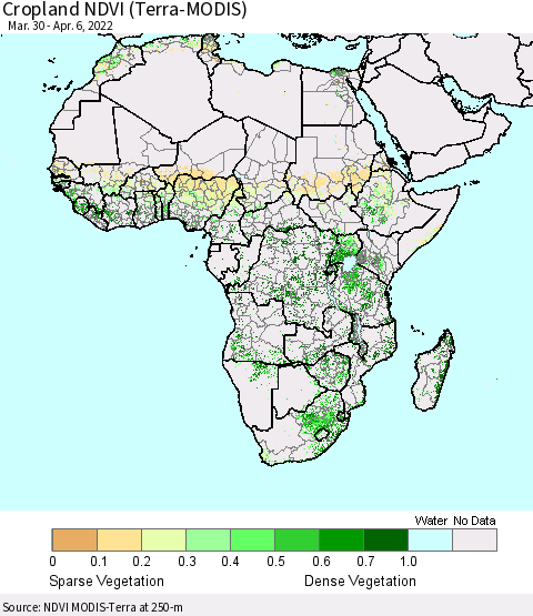Africa Cropland NDVI (Terra-MODIS) Thematic Map For 3/30/2022 - 4/6/2022