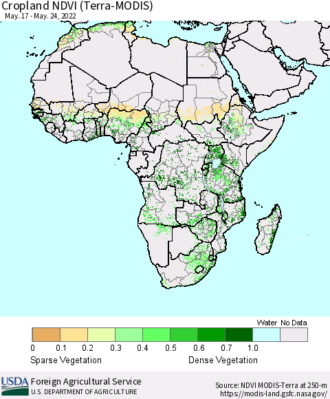 Africa Cropland NDVI (Terra-MODIS) Thematic Map For 5/21/2022 - 5/31/2022