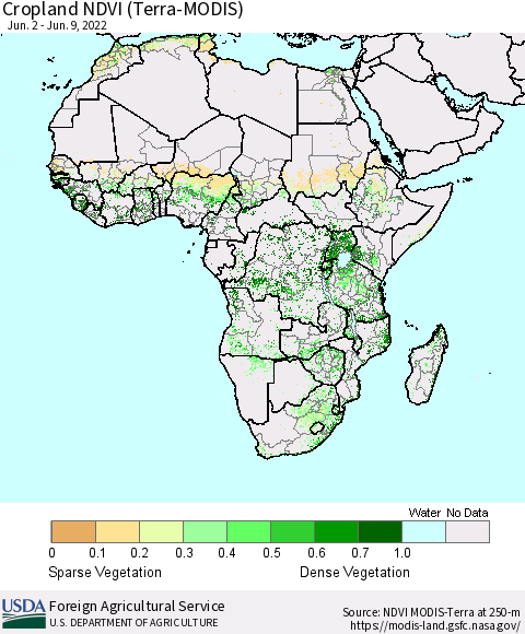 Africa Cropland NDVI (Terra-MODIS) Thematic Map For 6/1/2022 - 6/10/2022