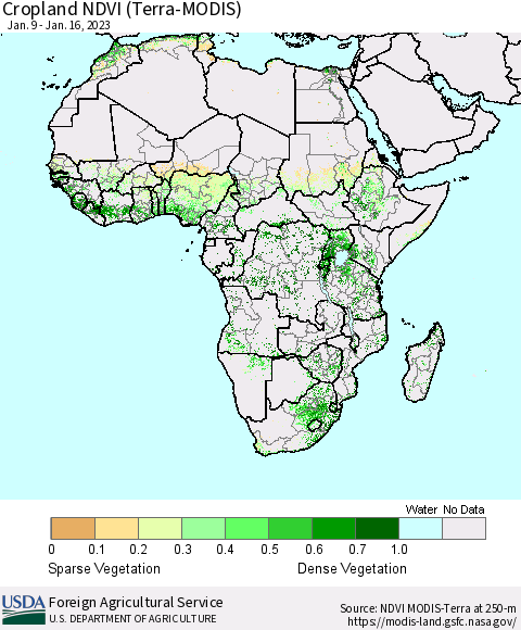 Africa Cropland NDVI (Terra-MODIS) Thematic Map For 1/11/2023 - 1/20/2023