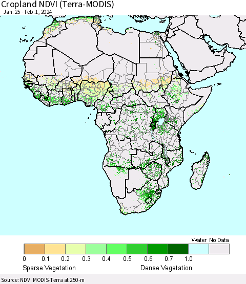 Africa Cropland NDVI (Terra-MODIS) Thematic Map For 1/25/2024 - 2/1/2024