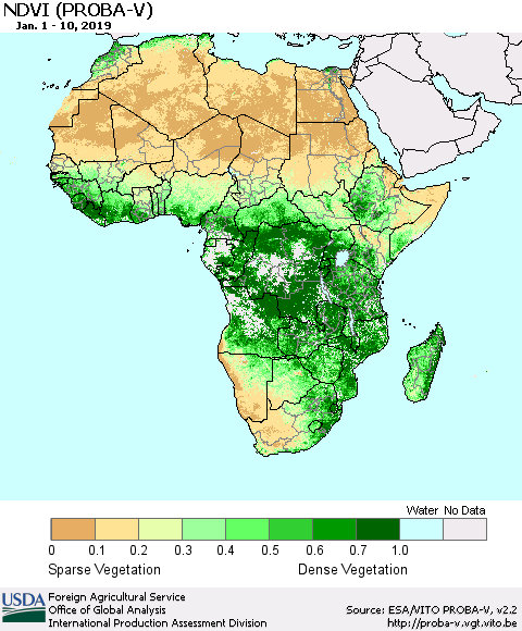 Africa NDVI (PROBA-V) Thematic Map For 1/1/2019 - 1/10/2019