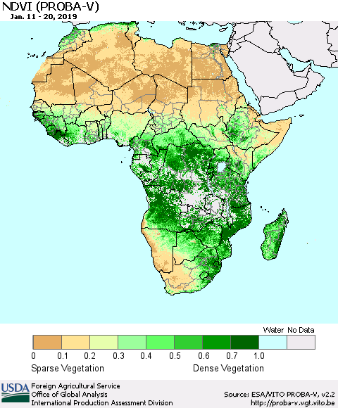 Africa NDVI (PROBA-V) Thematic Map For 1/11/2019 - 1/20/2019