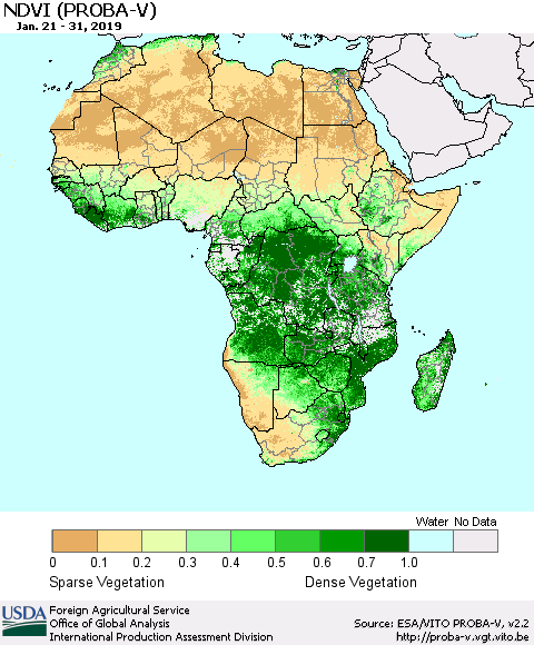 Africa NDVI (PROBA-V) Thematic Map For 1/21/2019 - 1/31/2019
