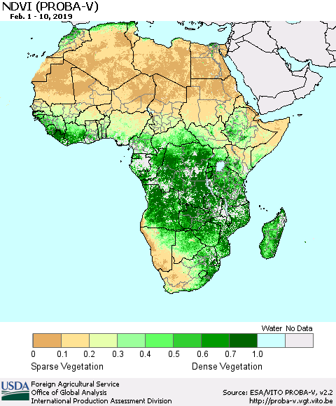 Africa NDVI (PROBA-V) Thematic Map For 2/1/2019 - 2/10/2019