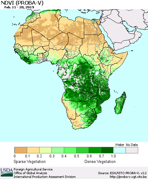 Africa NDVI (PROBA-V) Thematic Map For 2/11/2019 - 2/20/2019