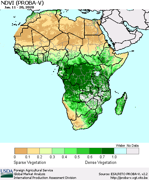 Africa NDVI (PROBA-V) Thematic Map For 1/11/2020 - 1/20/2020