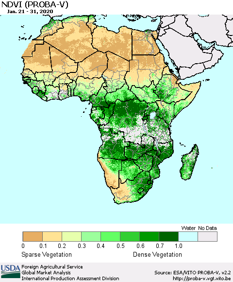 Africa NDVI (PROBA-V) Thematic Map For 1/21/2020 - 1/31/2020