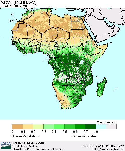 Africa NDVI (PROBA-V) Thematic Map For 2/1/2020 - 2/10/2020