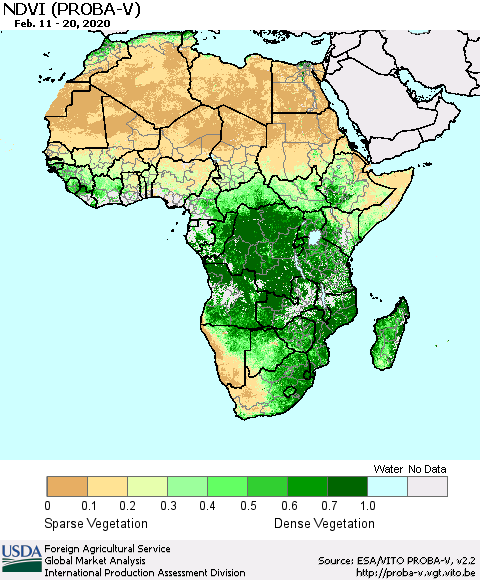 Africa NDVI (PROBA-V) Thematic Map For 2/11/2020 - 2/20/2020