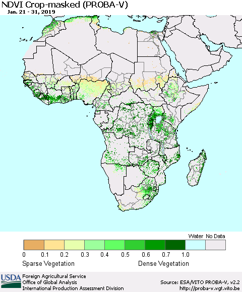 Africa NDVI Crop-masked (PROBA-V) Thematic Map For 1/21/2019 - 1/31/2019