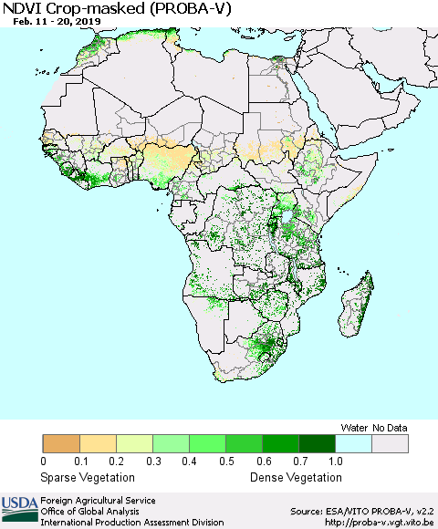 Africa NDVI Crop-masked (PROBA-V) Thematic Map For 2/11/2019 - 2/20/2019