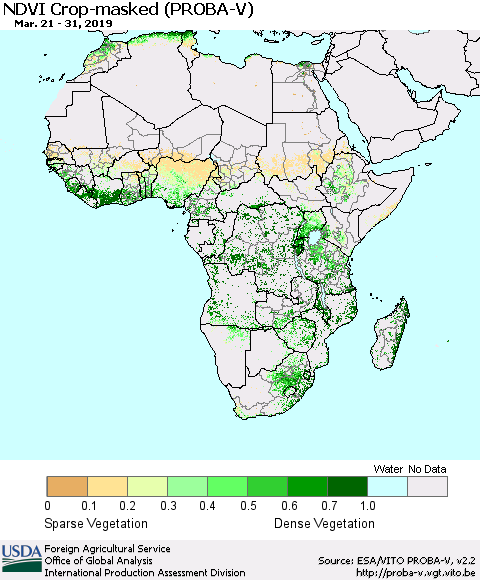 Africa NDVI Crop-masked (PROBA-V) Thematic Map For 3/21/2019 - 3/31/2019