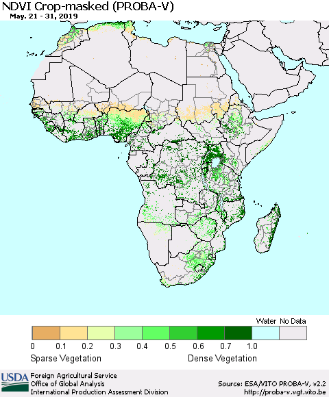 Africa NDVI Crop-masked (PROBA-V) Thematic Map For 5/21/2019 - 5/31/2019
