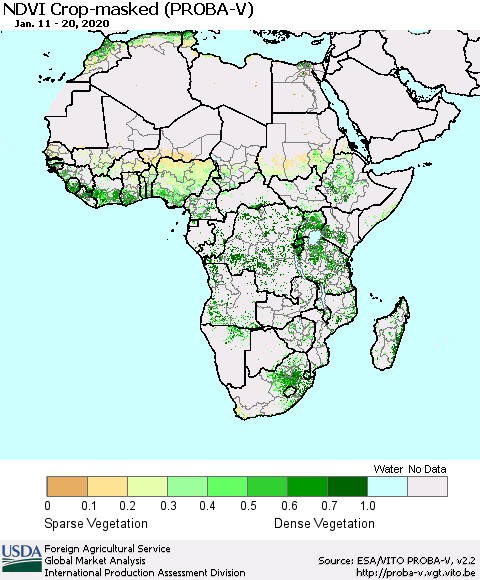 Africa NDVI Crop-masked (PROBA-V) Thematic Map For 1/11/2020 - 1/20/2020