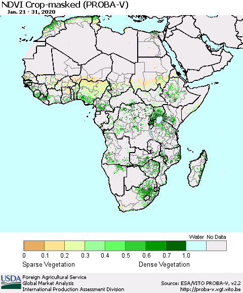Africa NDVI Crop-masked (PROBA-V) Thematic Map For 1/21/2020 - 1/31/2020