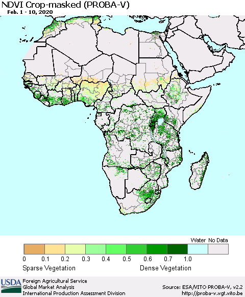 Africa NDVI Crop-masked (PROBA-V) Thematic Map For 2/1/2020 - 2/10/2020