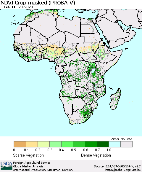 Africa NDVI Crop-masked (PROBA-V) Thematic Map For 2/11/2020 - 2/20/2020