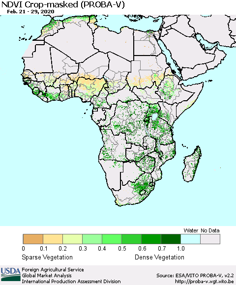 Africa NDVI Crop-masked (PROBA-V) Thematic Map For 2/21/2020 - 2/29/2020