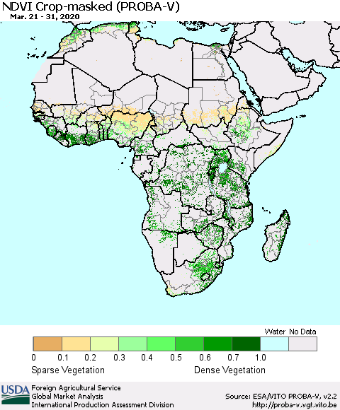 Africa NDVI Crop-masked (PROBA-V) Thematic Map For 3/21/2020 - 3/31/2020