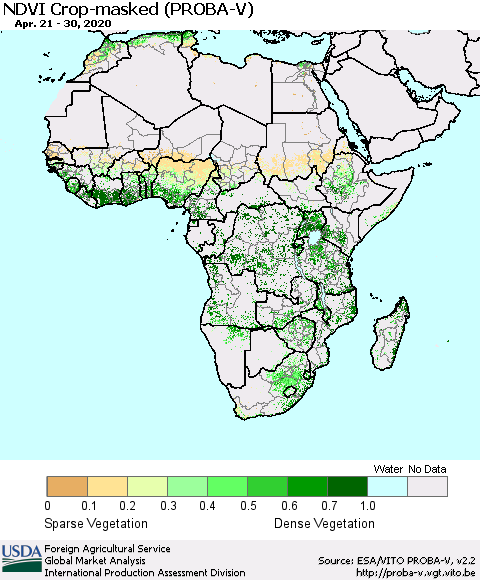 Africa NDVI Crop-masked (PROBA-V) Thematic Map For 4/21/2020 - 4/30/2020