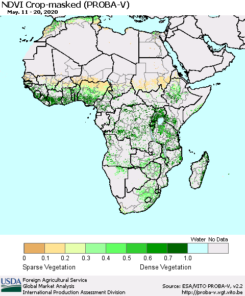 Africa NDVI Crop-masked (PROBA-V) Thematic Map For 5/11/2020 - 5/20/2020