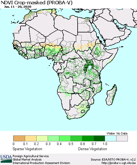 Africa NDVI Crop-masked (PROBA-V) Thematic Map For 6/11/2020 - 6/20/2020