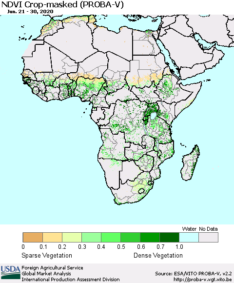 Africa NDVI Crop-masked (PROBA-V) Thematic Map For 6/21/2020 - 6/30/2020