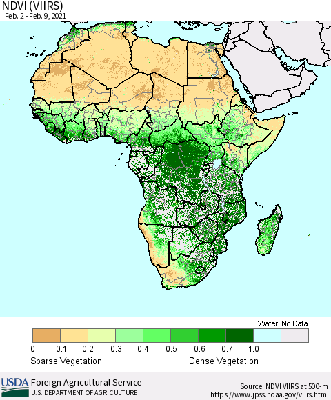 Africa NDVI (VIIRS) Thematic Map For 2/1/2021 - 2/10/2021