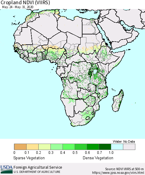 Africa Cropland NDVI (VIIRS) Thematic Map For 5/21/2020 - 5/31/2020