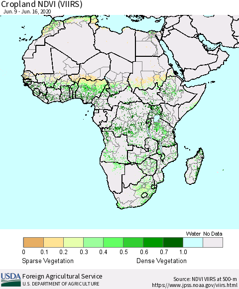 Africa Cropland NDVI (VIIRS) Thematic Map For 6/11/2020 - 6/20/2020