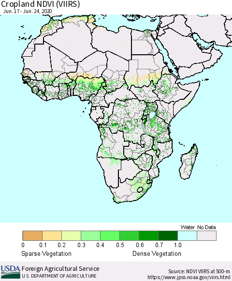 Africa Cropland NDVI (VIIRS) Thematic Map For 6/21/2020 - 6/30/2020