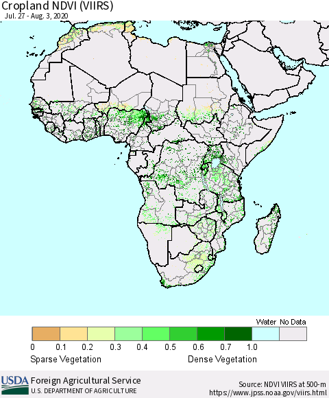 Africa Cropland NDVI (VIIRS) Thematic Map For 8/1/2020 - 8/10/2020