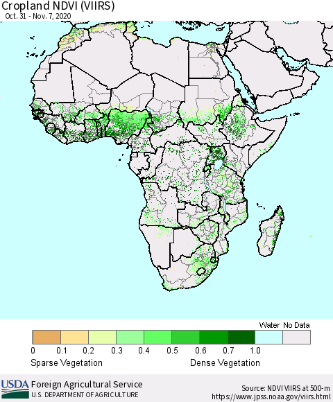 Africa Cropland NDVI (VIIRS) Thematic Map For 11/1/2020 - 11/10/2020