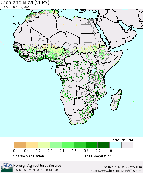 Africa Cropland NDVI (VIIRS) Thematic Map For 1/11/2021 - 1/20/2021