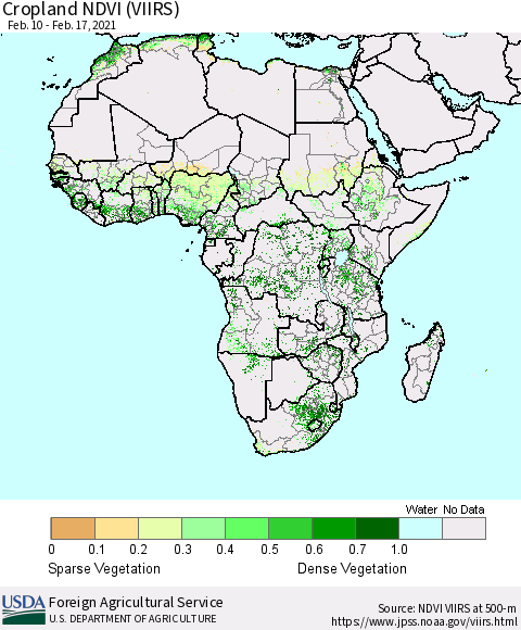 Africa Cropland NDVI (VIIRS) Thematic Map For 2/11/2021 - 2/20/2021