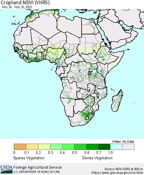 Africa Cropland NDVI (VIIRS) Thematic Map For 2/21/2021 - 2/28/2021