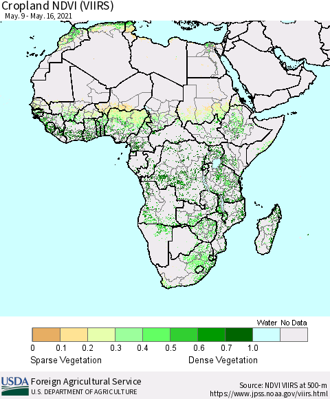 Africa Cropland NDVI (VIIRS) Thematic Map For 5/11/2021 - 5/20/2021