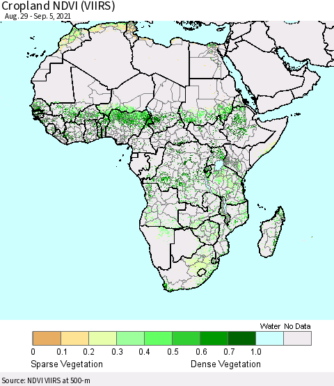 Africa Cropland NDVI (VIIRS) Thematic Map For 8/29/2021 - 9/5/2021