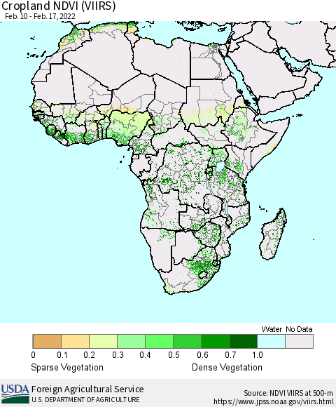 Africa Cropland NDVI (VIIRS) Thematic Map For 2/11/2022 - 2/20/2022