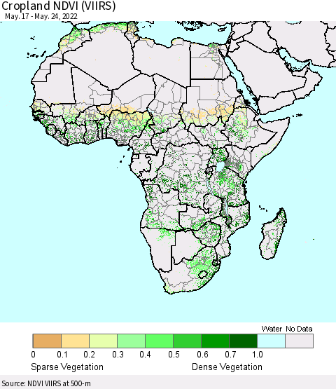 Africa Cropland NDVI (VIIRS) Thematic Map For 5/17/2022 - 5/24/2022