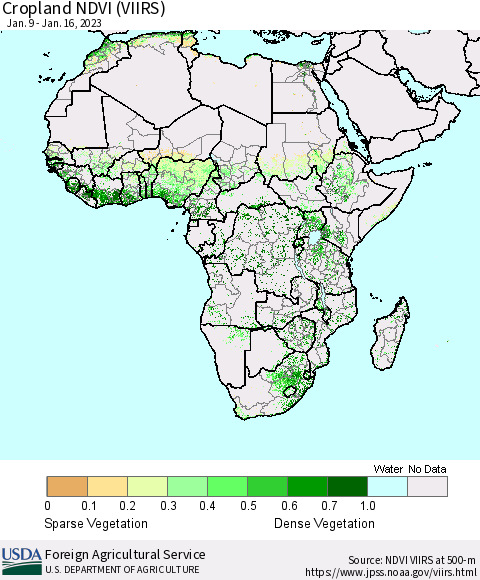 Africa Cropland NDVI (VIIRS) Thematic Map For 1/11/2023 - 1/20/2023