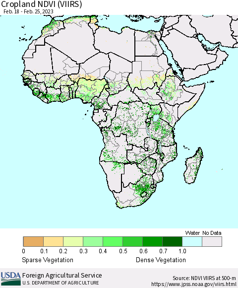 Africa Cropland NDVI (VIIRS) Thematic Map For 2/21/2023 - 2/28/2023