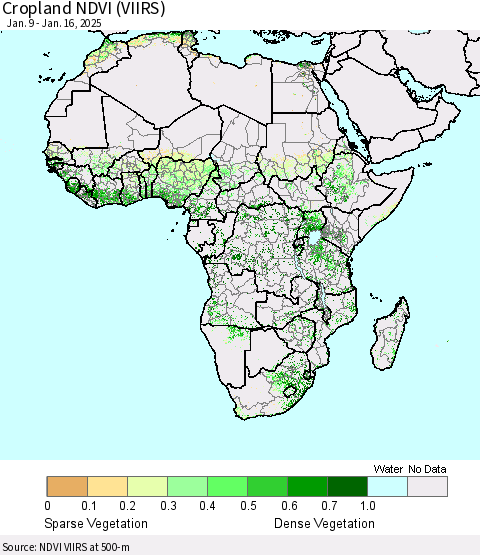 Africa Cropland NDVI (VIIRS) Thematic Map For 1/9/2025 - 1/16/2025