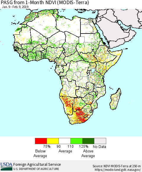 Africa PASG from 1-Month NDVI (Terra-MODIS) Thematic Map For 2/1/2019 - 2/10/2019