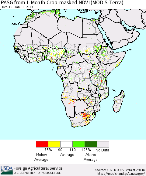 Africa PASG from 1-Month Cropland NDVI (Terra-MODIS) Thematic Map For 1/11/2019 - 1/20/2019