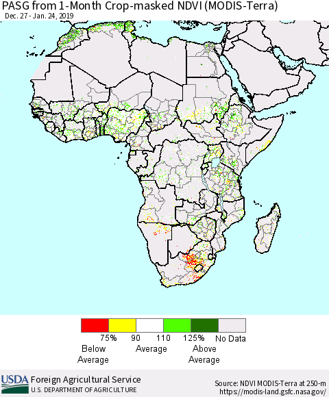 Africa PASG from 1-Month Cropland NDVI (Terra-MODIS) Thematic Map For 1/21/2019 - 1/31/2019