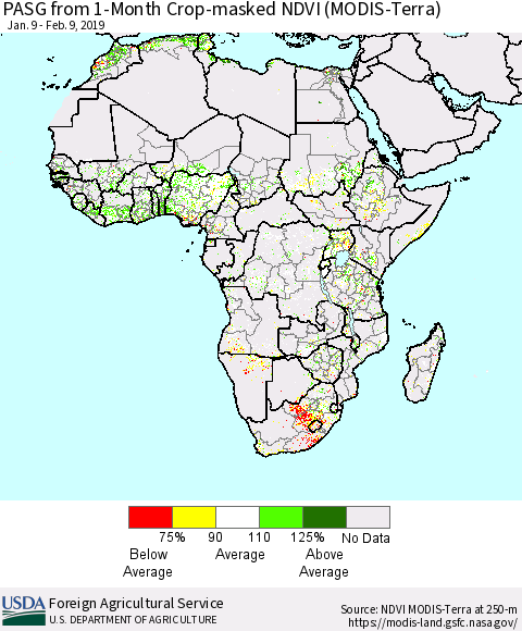 Africa PASG from 1-Month Cropland NDVI (Terra-MODIS) Thematic Map For 2/1/2019 - 2/10/2019