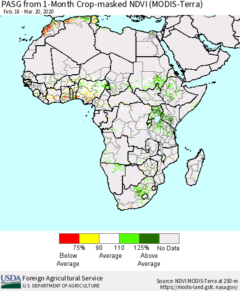 Africa PASG from 1-Month Cropland NDVI (Terra-MODIS) Thematic Map For 3/11/2020 - 3/20/2020
